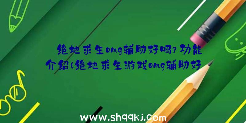 绝地求生omg辅助好吗？功能介绍（绝地求生游戏omg辅助好么？）